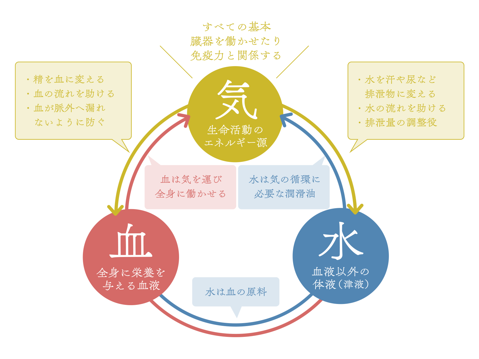 【妊活に役立つ薬膳入門】『気・血・水』と『五臓』で体と心を整える