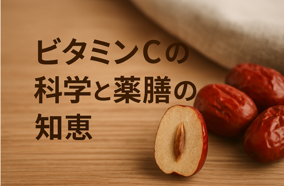 なつめと鉄吸収 ― ビタミンCの科学と薬膳の知恵
