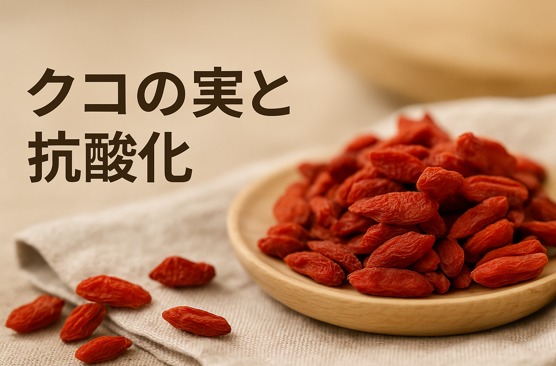 クコの実 ― 抗酸化と脂質代謝を整える科学